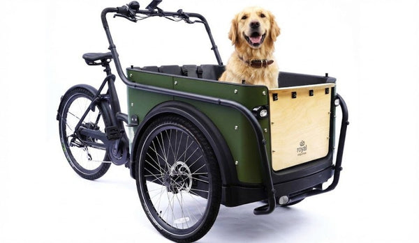 Royal Cargo Bike 3W Eco