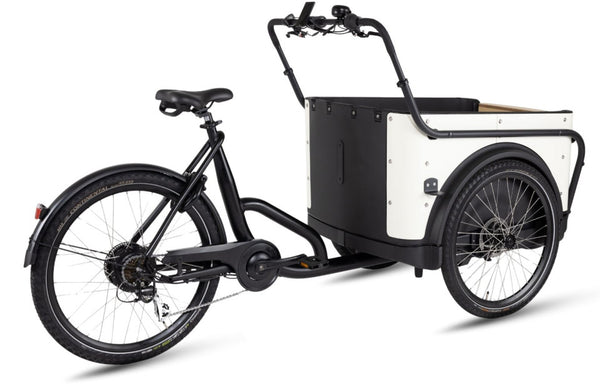 Royal Cargo Bike 3W Eco
