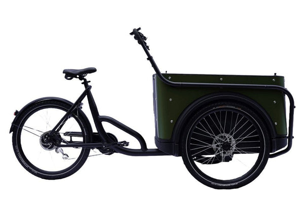 Royal Cargo Bike 3W Eco
