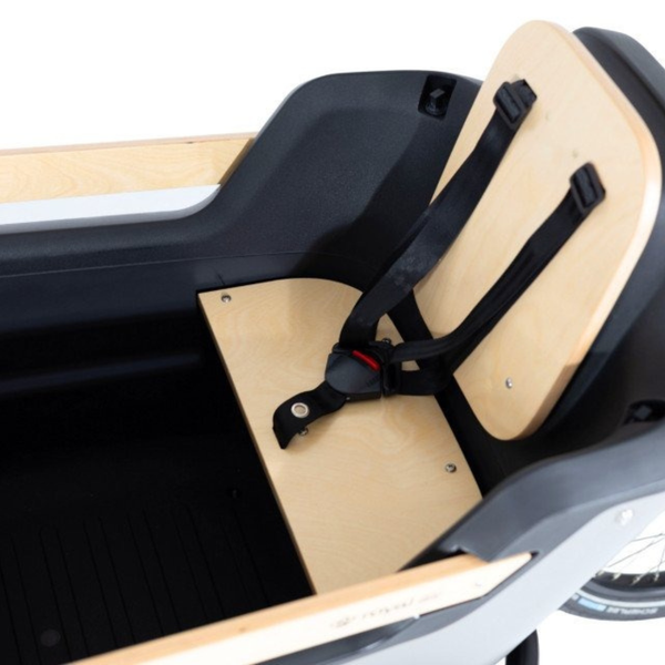 Royal Cargo Bike 2W Premium Plus