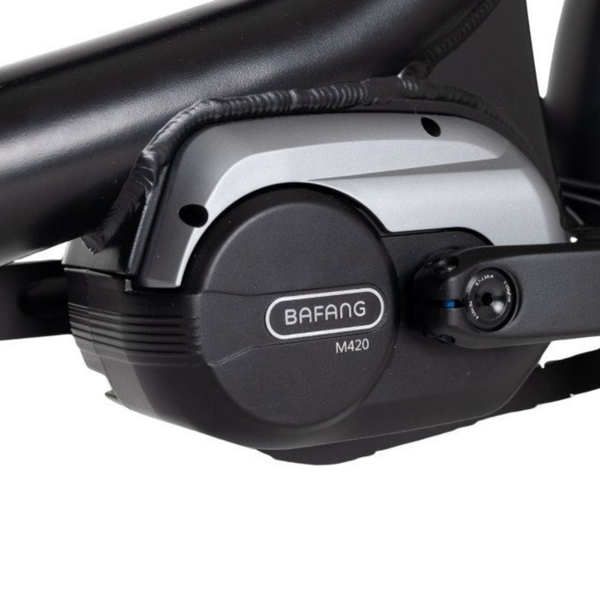 Royal Cargo Bike 2W Premium Plus